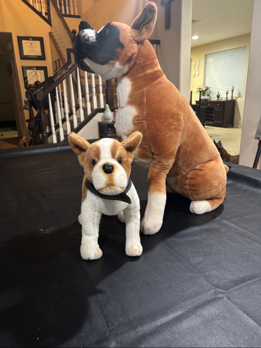 Small Dog Mannequin,